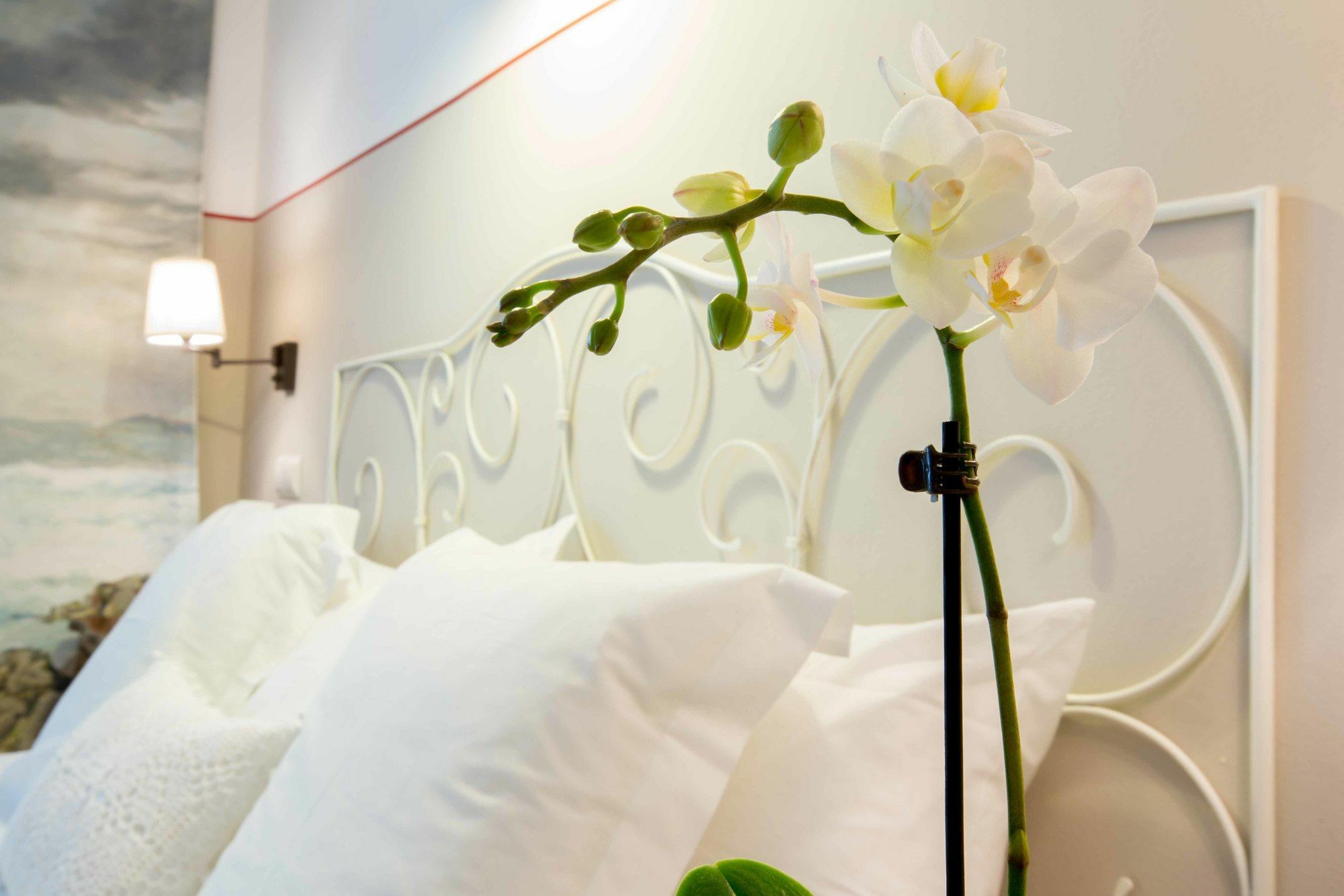 La Morada Mas Hermosa Hotell 2*